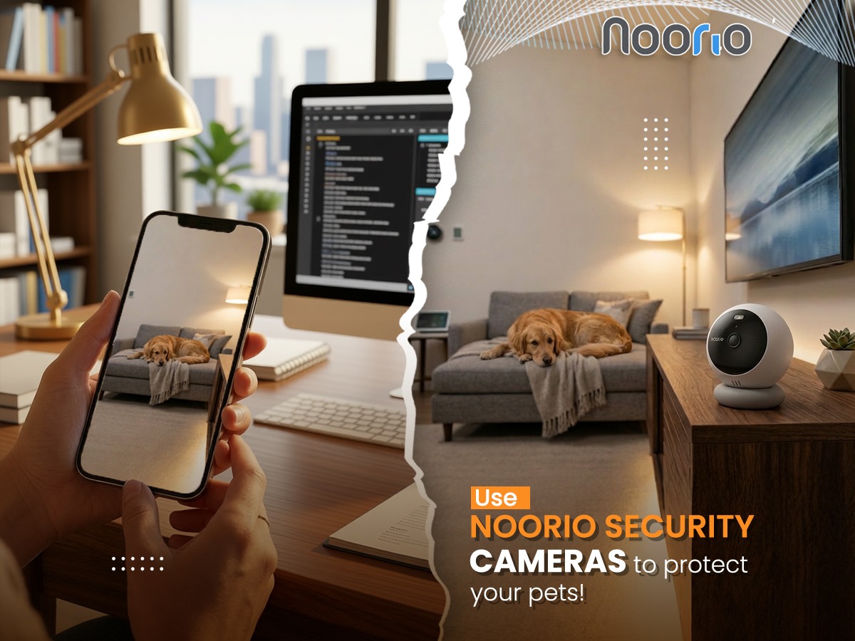 Use Noorio security cameras to protect your pets